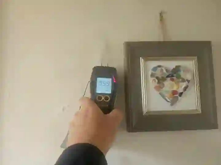 Rising Damp Surveys Norfolk