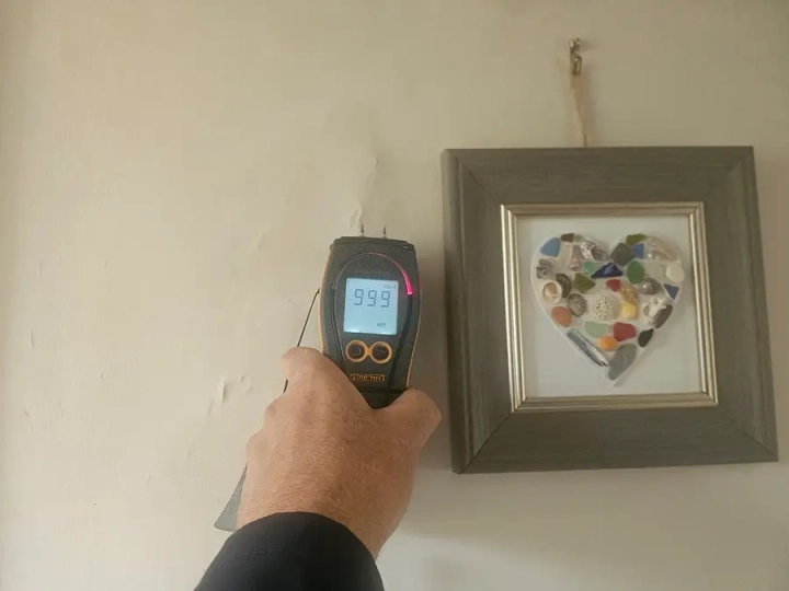 Rising Damp Surveys Norfolk