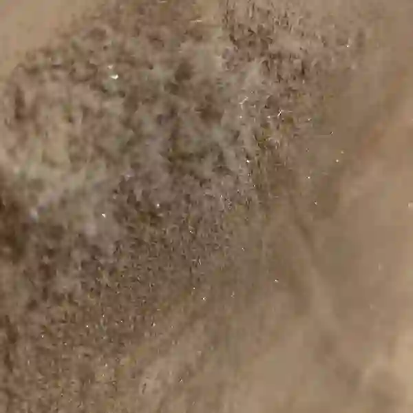 Mould Prevention Norwich