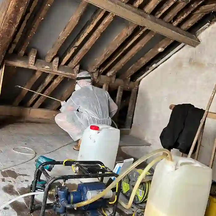 Woodworm Control Norwich