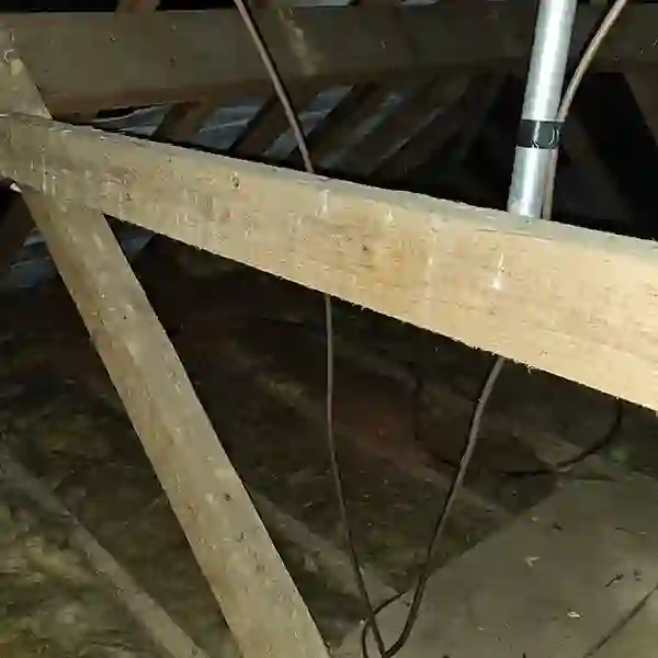 Woodworm Treatment Norfolk